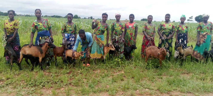 Members of Kasitu CBFOs in Mitundu, Lilongwe