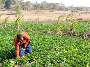 Lesina on her farm.