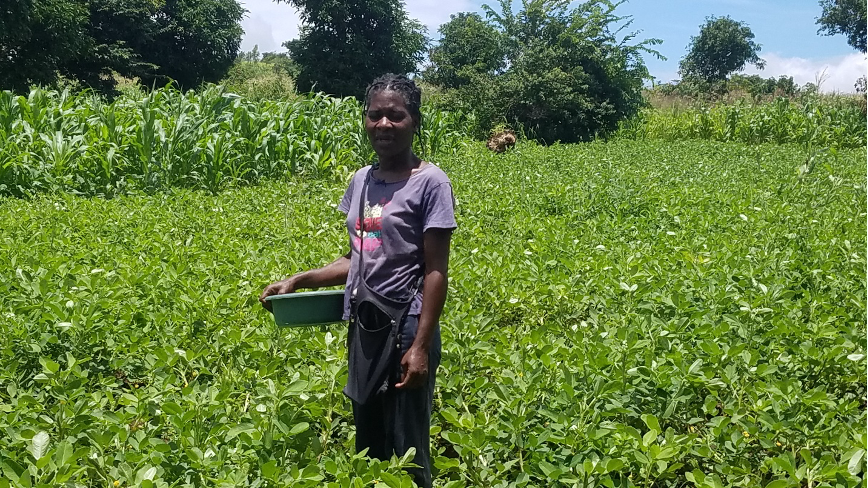 Marshall’s groundnut farm that helped grow her business.