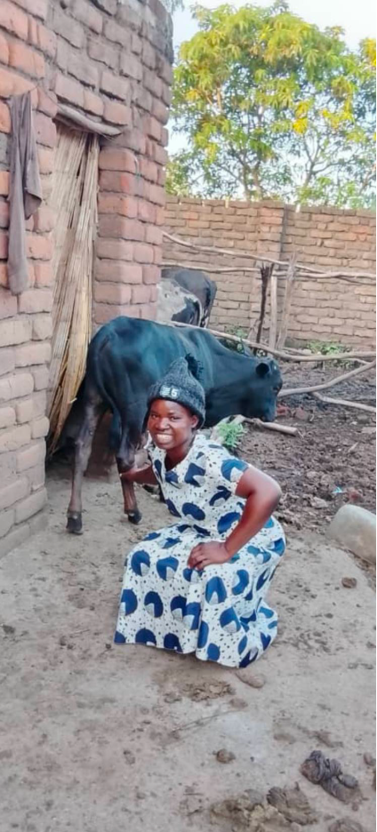 Mary with her cows.