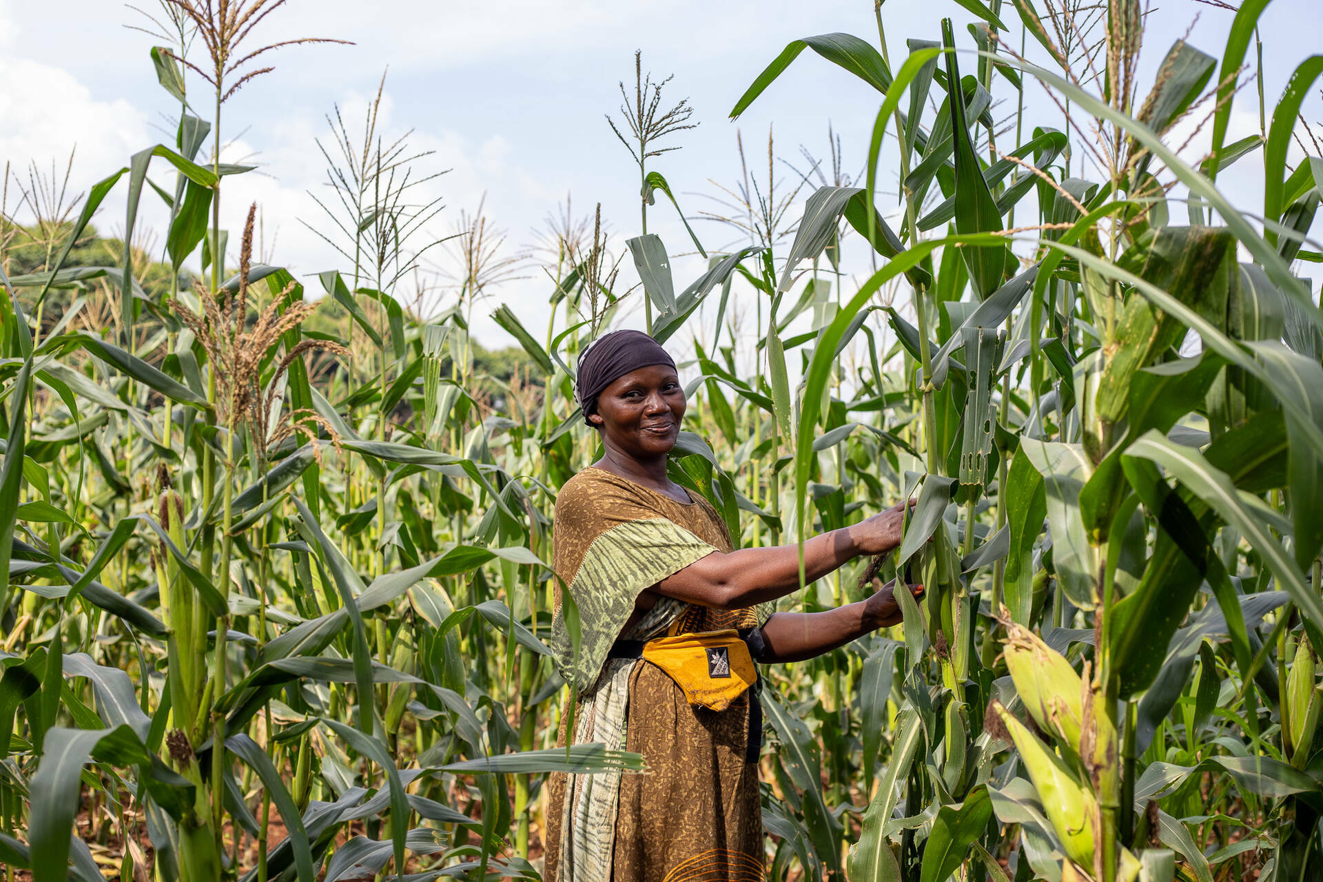 Namulondo on her maize farm.