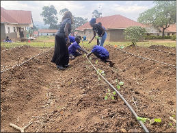FSA Peace using a digital tool to ask which pest is affecting the crop.