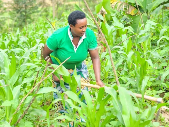 Vestine on her farm in Rwanda. 