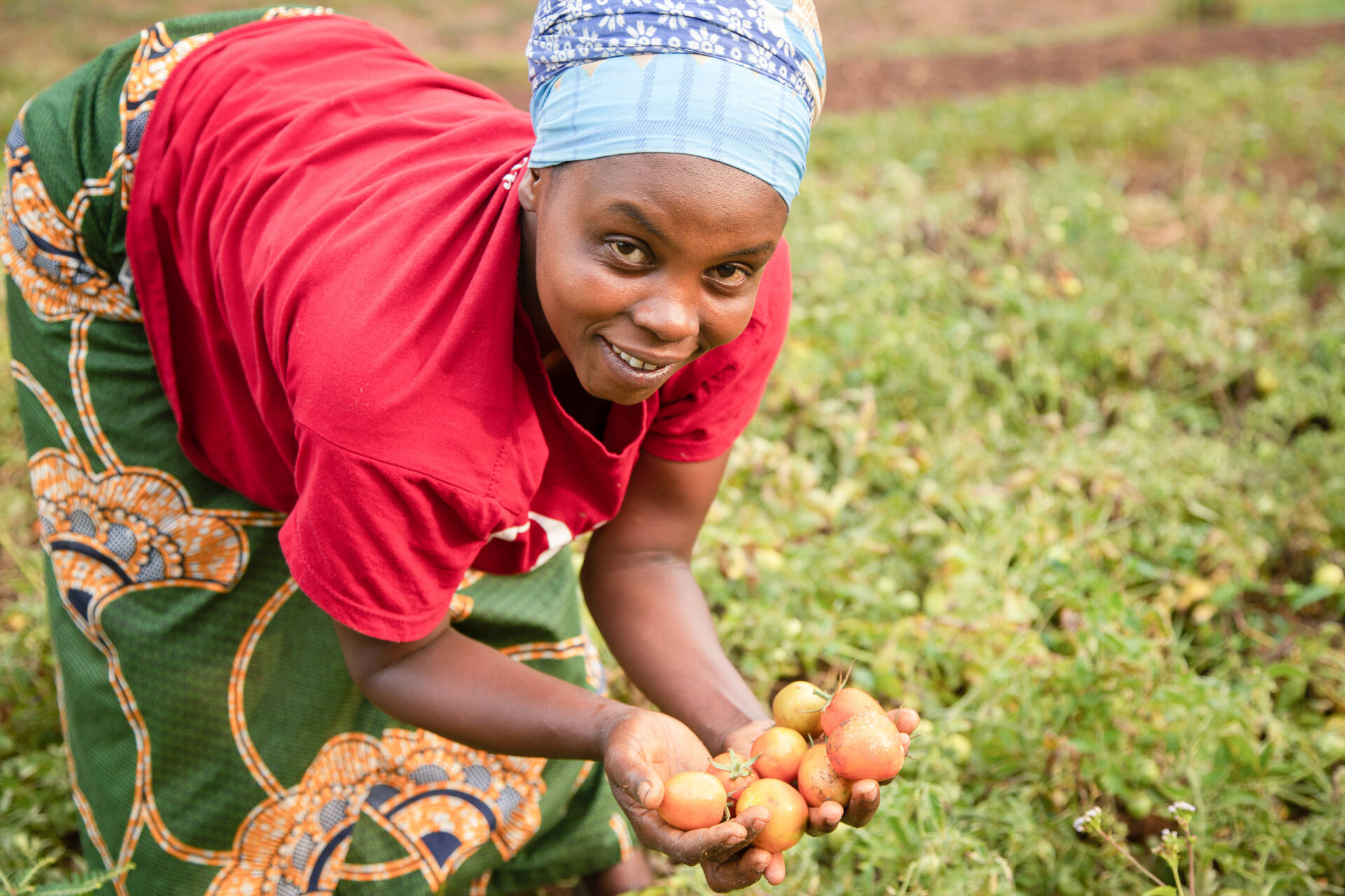Felicia holds up ripe tomatoes from her farm. (Photo credit: Mussa Uwitonze / Opportunity International)